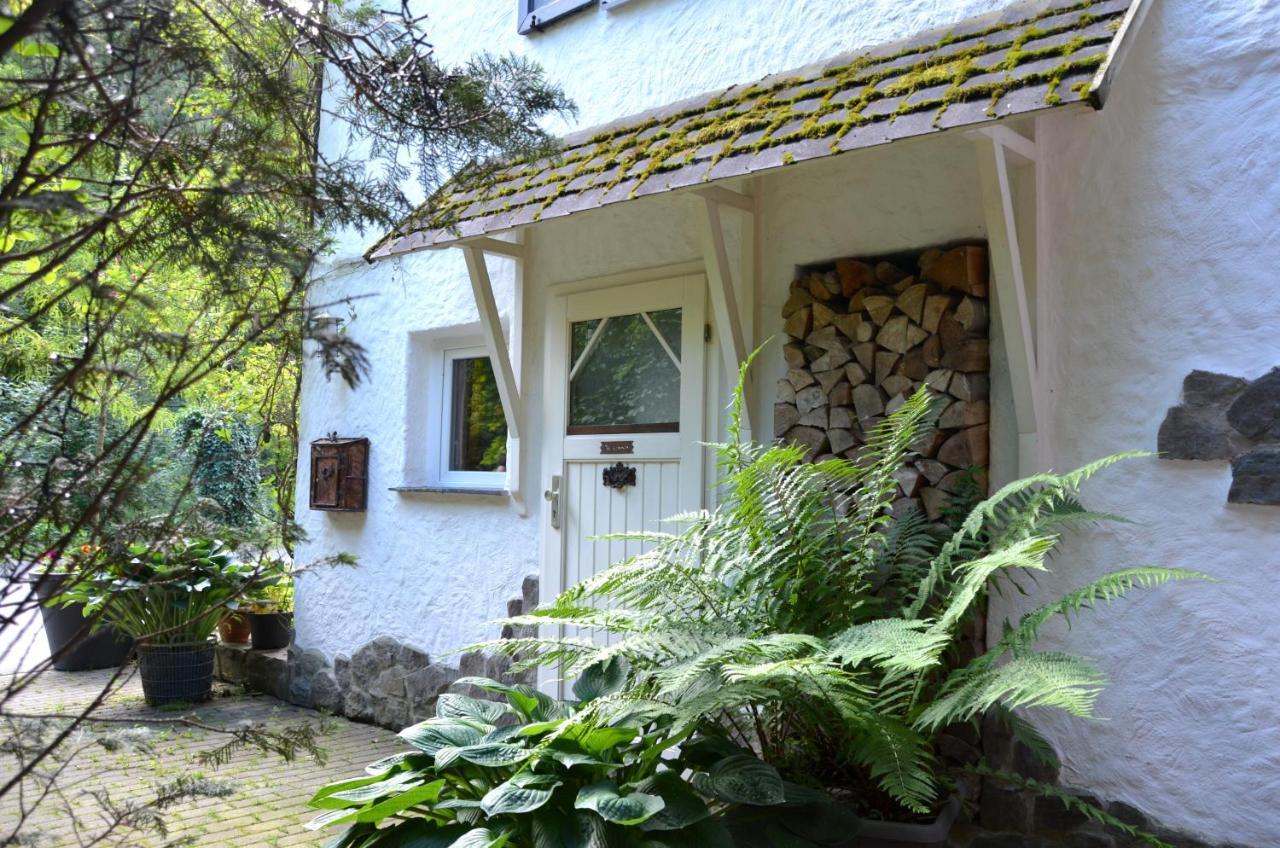 Birgits Landhaus Willingen Willingen  Eksteriør billede