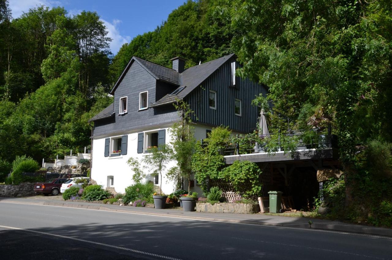 Birgits Landhaus Willingen Willingen  Eksteriør billede